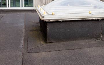 disadvantages of Prospect Village flat roofs