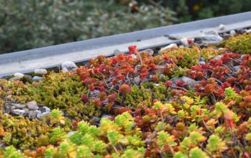 the cost of Prospect Village green roof installation
