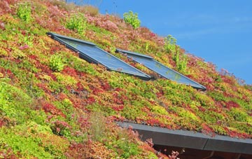 Prospect Village living roof systems