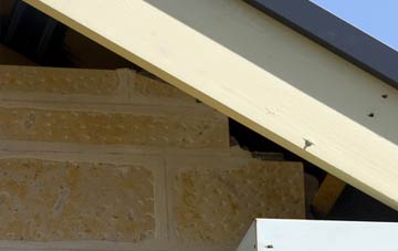 soffit repair Prospect Village